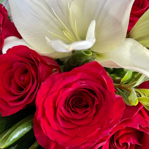 Meet your Posher, Emmie - Picture 14 of 14